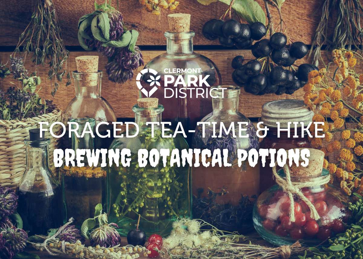 brewtea